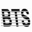 Bosanski transport servis d.o.o. logo